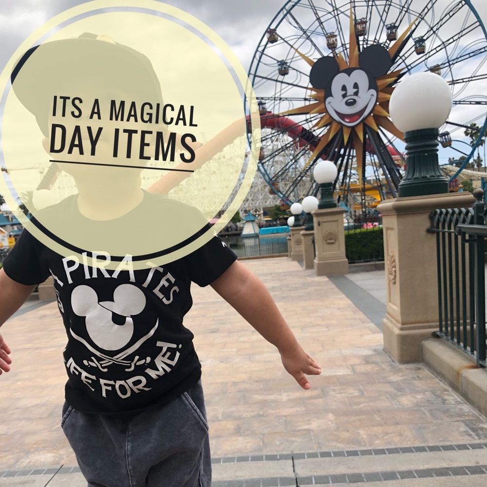 All things perfect for Disney parks